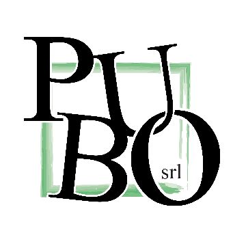 pubo srl|PUBO SRL